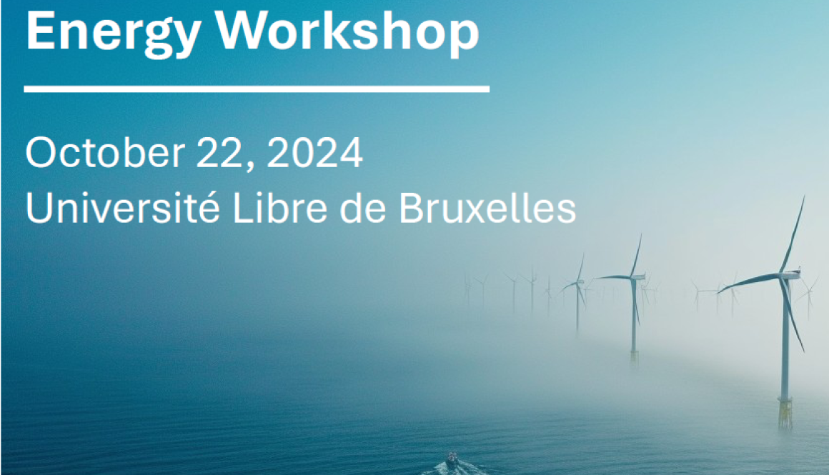 ULB Energy Workshop