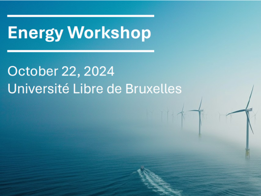 ULB Energy Workshop