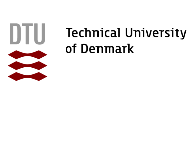 technical-university-of-denmark-dtu-19-logo